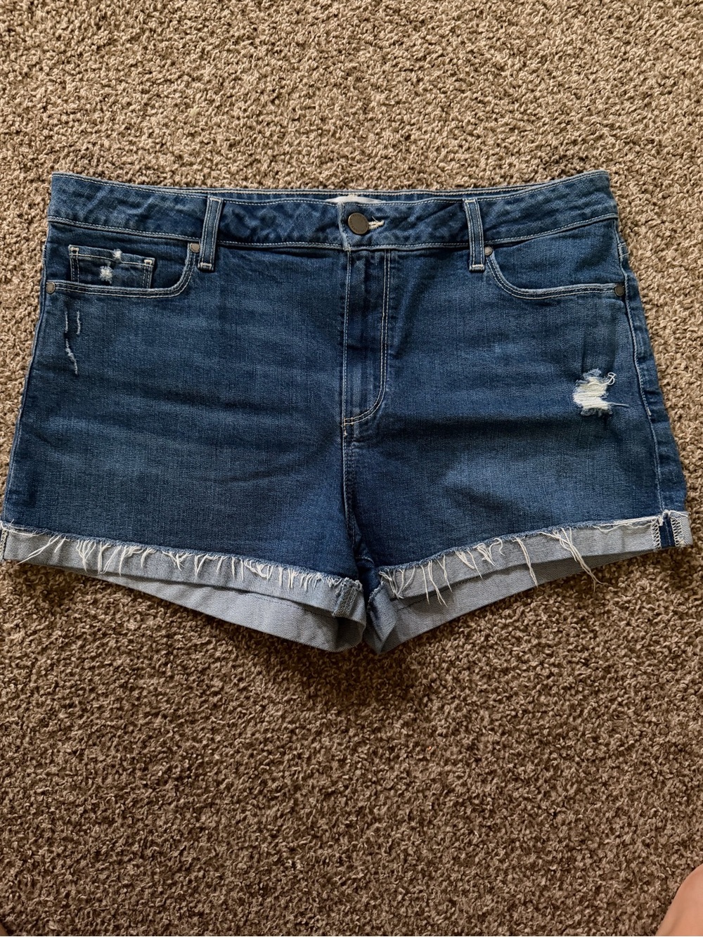 PAIGE jimmy jimmy short